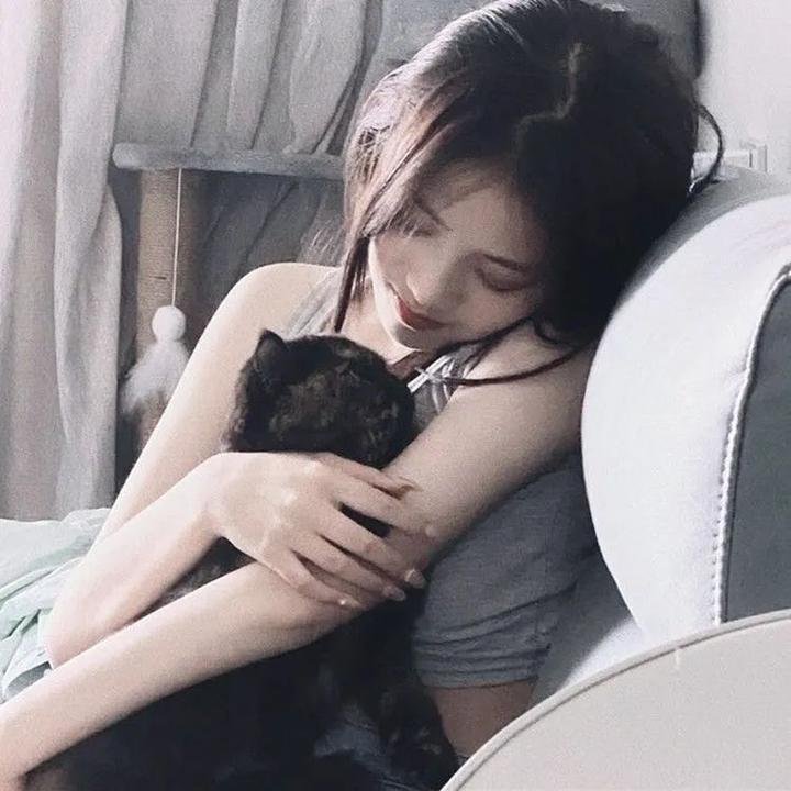 暴龙真相